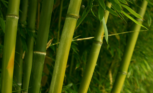 Legibility & Control: